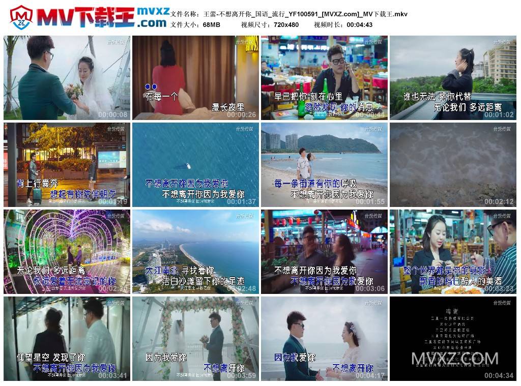 王蕾-不想离开你_国语_流行_YF100591